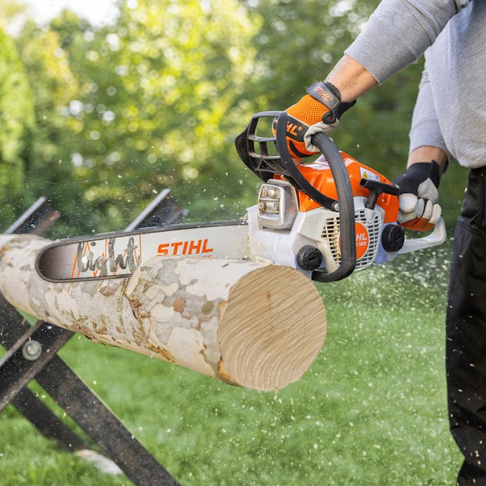 MS 162 Chainsaw